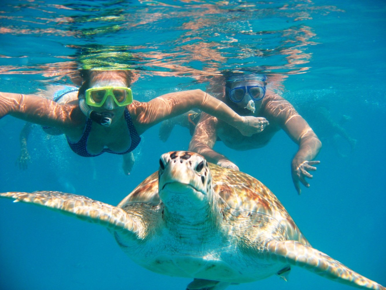 a person swimming in a pool of water