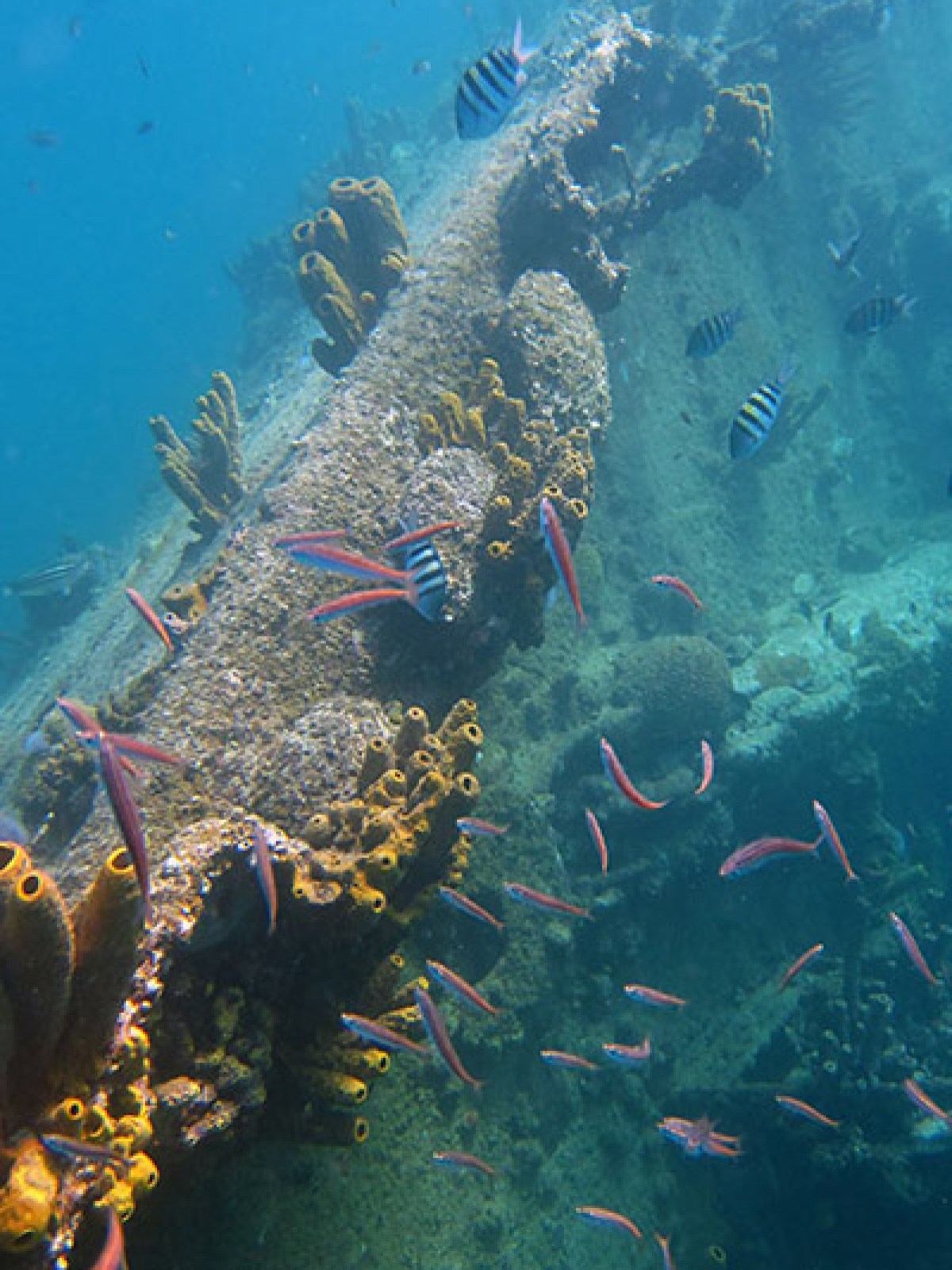 underwater view of a swimming pool